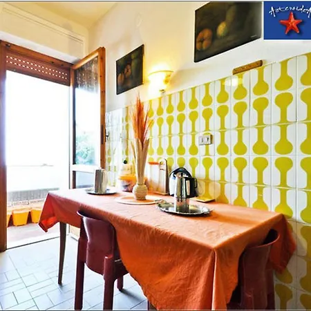 Couette-café Asteroidea