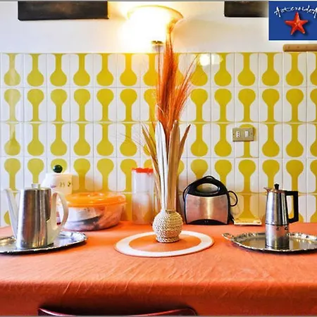 Couette-café Asteroidea