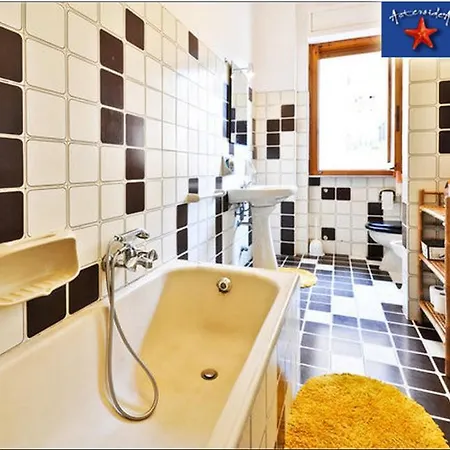 Couette-café Asteroidea