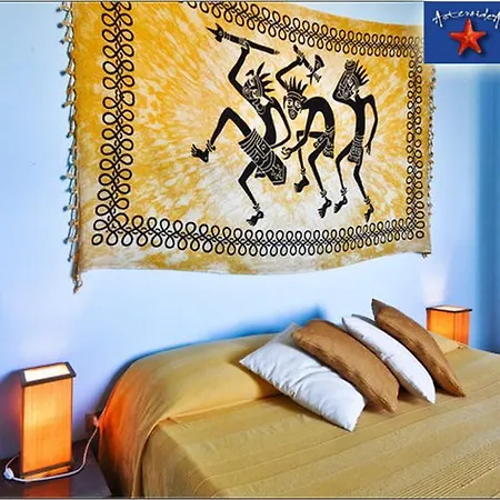 Couette-café Asteroidea