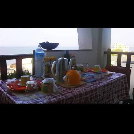 Couette-café Asteroidea