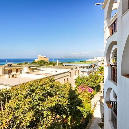 Couette-café Asteroidea