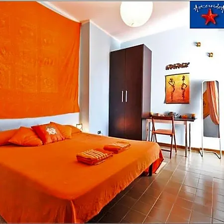 Bed & Breakfast Asteroidea