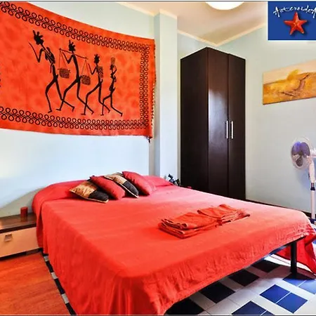 Bed & Breakfast Asteroidea *